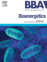 Cover of Biochimica et Biophysica Acta (BBA) - Bioenergetics Volume 1863, Issue 8